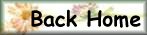 return to home page